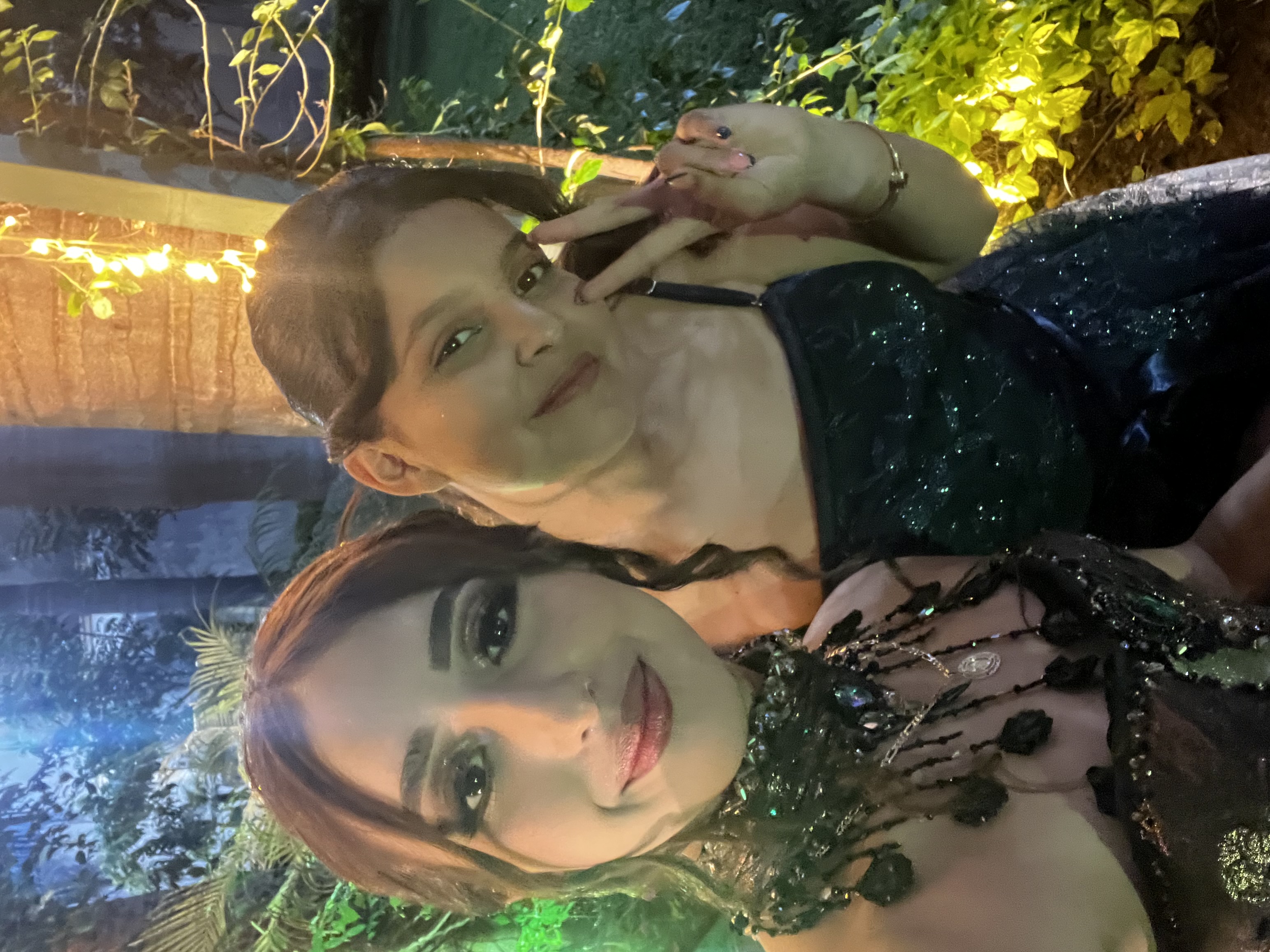 Foto subida